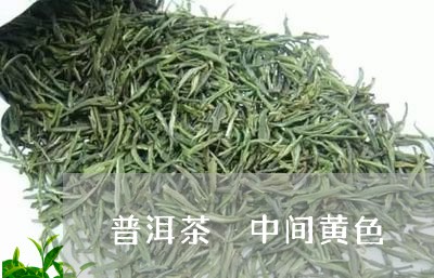 普洱茶 中间黄色/2023041030514